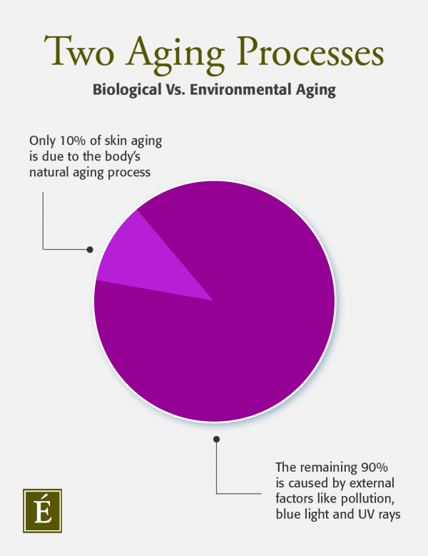 Biological vs Environmental Aging Infographic