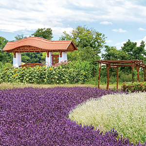 Eminence Certified Organic Farm in Hungary