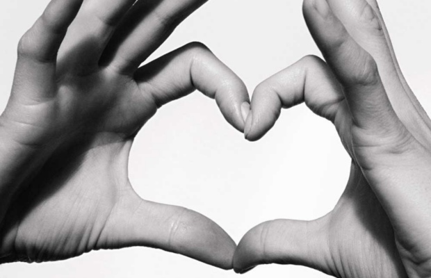 Renée’s 2024 Year in Review & What to Expect in 2025